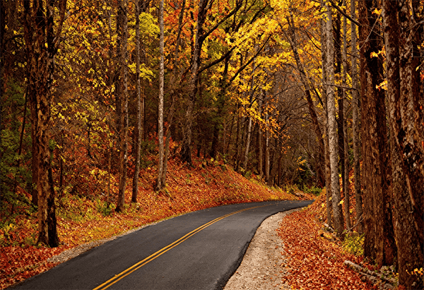 CML Insight article for too long